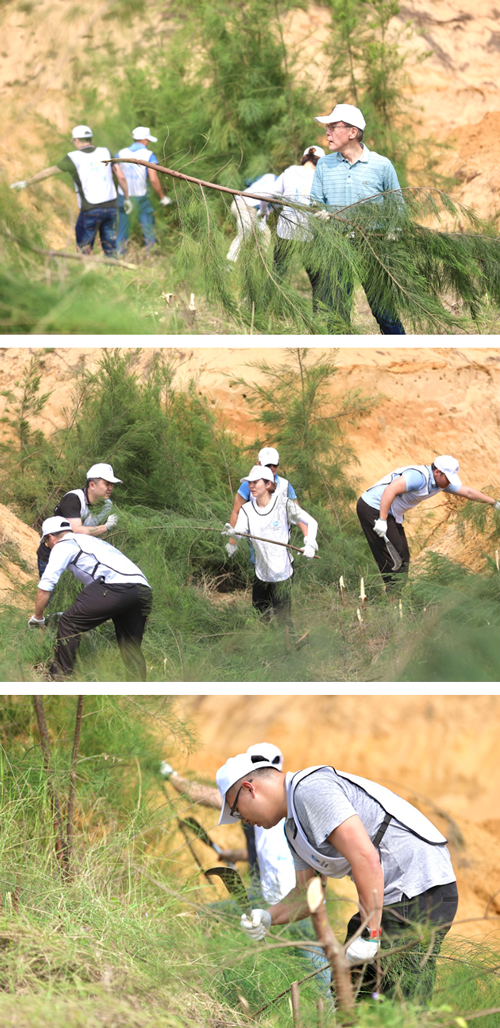 9_志愿者們為蜂虎鳥清理棲息地.jpg