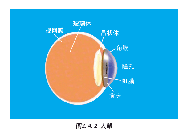 圖2.4.2