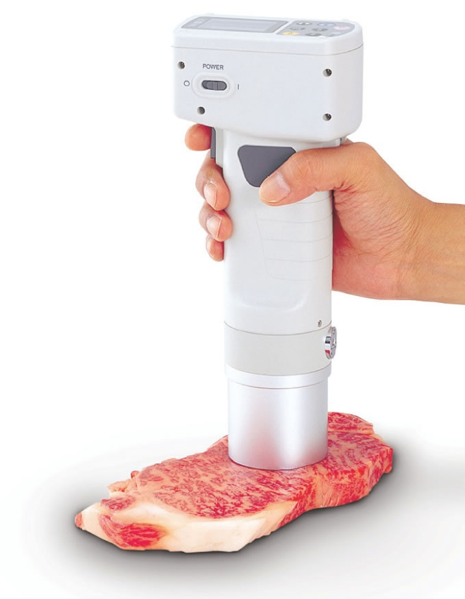 檢測豬肉